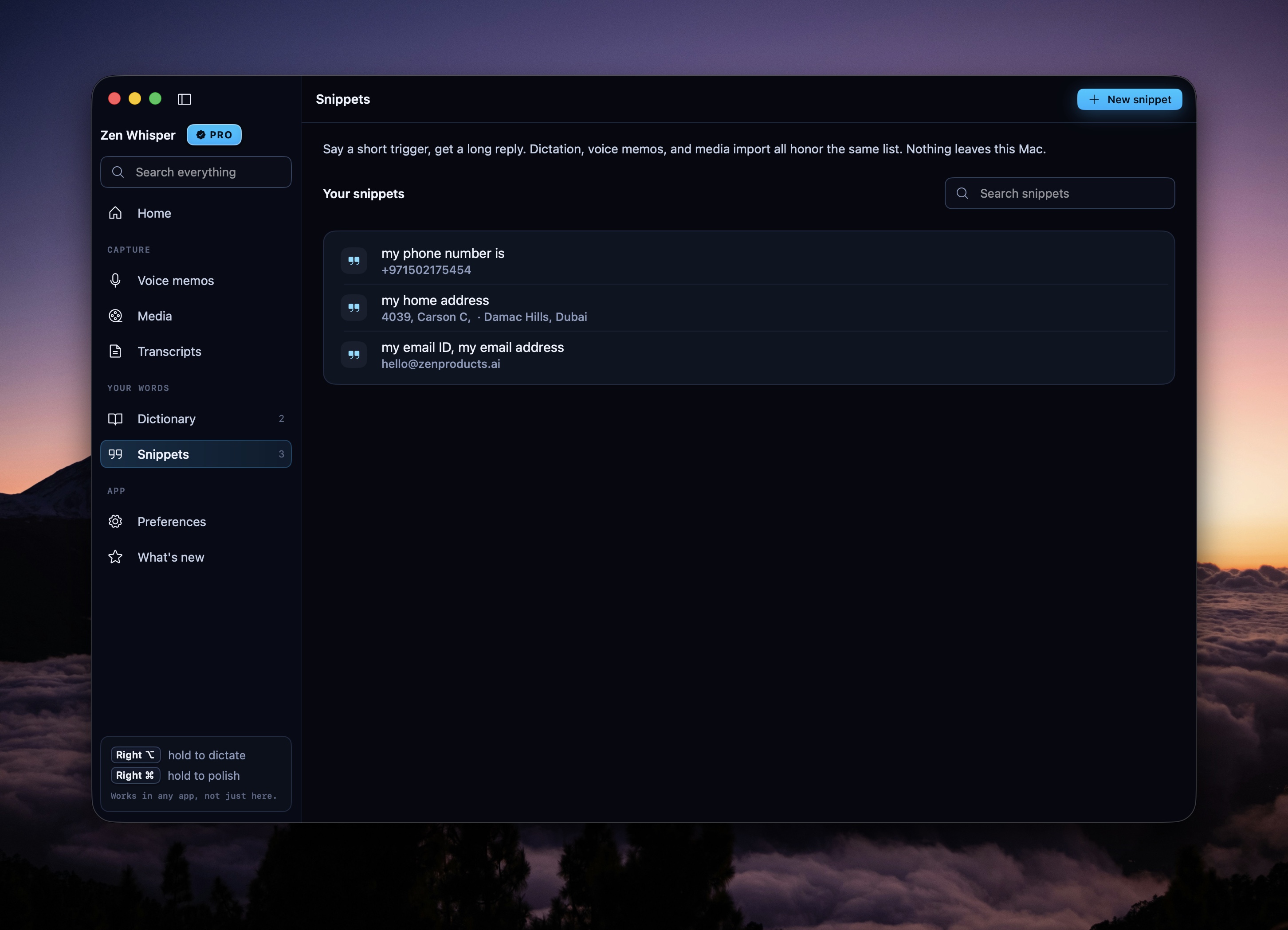 Snippets list with spoken triggers that expand into longer replies.